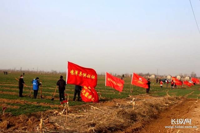 2020年河北造林目标:800万亩!为燕赵大地植一片绿 2020年河北造林目标:800万亩!为燕赵大地植一片绿