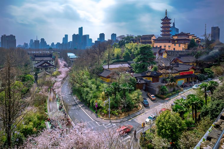“寻香地图”上线，追逐各城春日里的花花世界