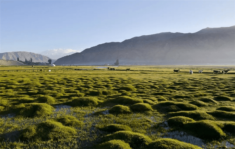 守护祖国绿水青山，无人机在行动