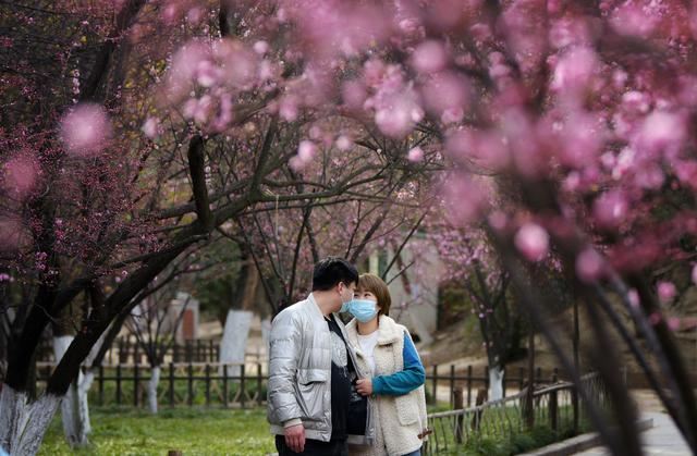 西安：春花春景春意浓