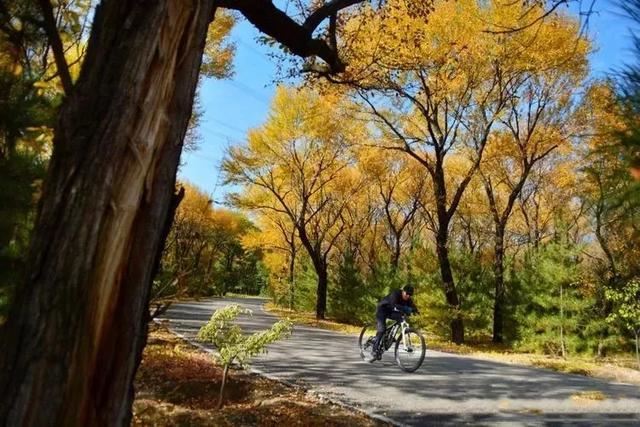 守好生态林 端牢“绿饭碗” 守好生态林 端牢“绿饭碗”