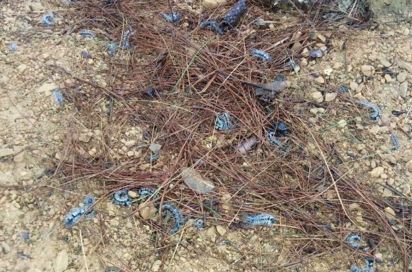 守护祖国绿水青山，无人机在行动