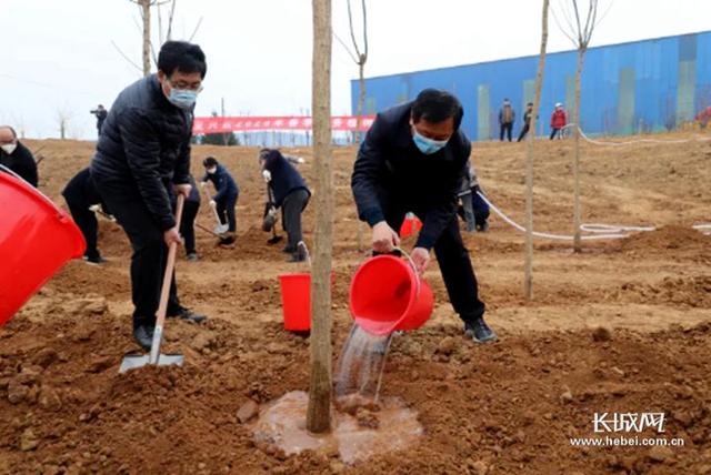 2020年河北造林目标:800万亩!为燕赵大地植一片绿 2020年河北造林目标:800万亩!为燕赵大地植一片绿