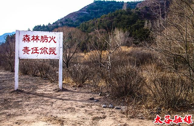 〖太谷县〗 大山深处“吹哨人”——记太谷县林场护林员乔根喜