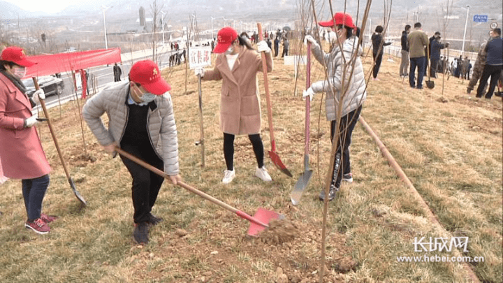 防疫造林两不误 国土绿化正当时 石家庄市鹿泉区全面开展义务植树活动