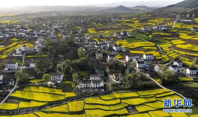 陕西洋县:油菜花开美如画 陕西洋县:油菜花开美如画