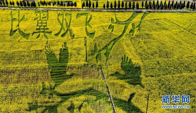 陕西洋县:油菜花开美如画 陕西洋县:油菜花开美如画