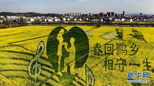 陕西洋县:油菜花开美如画 陕西洋县:油菜花开美如画