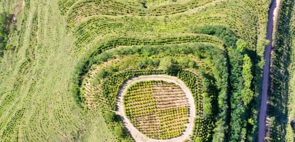 庆城县发展苗林产业助推生态扶贫