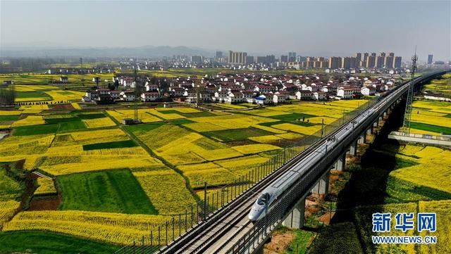 陕西洋县:油菜花开美如画 陕西洋县:油菜花开美如画