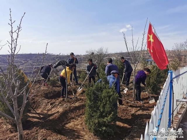 【造林绿化】叶堡镇：党员带头添新绿 凝心聚力美家园