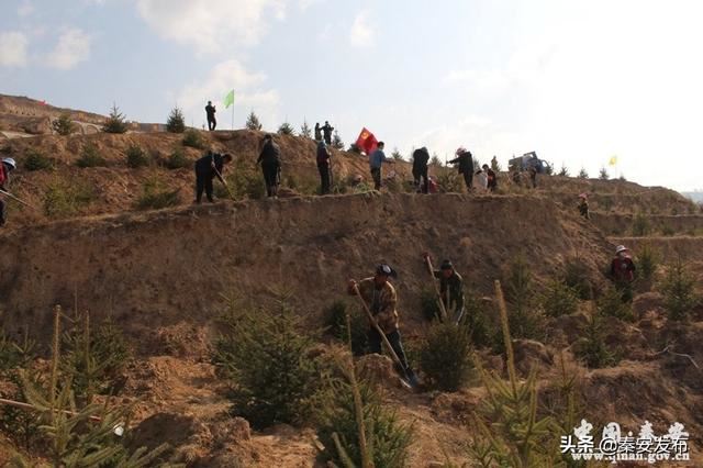 【造林绿化】叶堡镇：党员带头添新绿 凝心聚力美家园