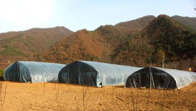 市州动态▕ 陇南市生态环境局产业帮扶见成效,羊肚菌助农走向致富路~ 市州动态▕ 陇南市生态环境局产业帮扶见成效,羊肚菌助农走向致富路~