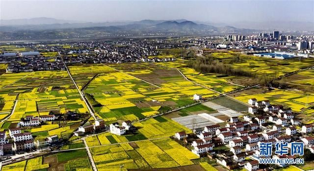 陕西洋县:油菜花开美如画 陕西洋县:油菜花开美如画