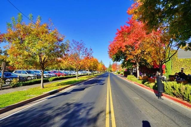 「红叶集」所到之处，无笔成诗，愿你的生活也能如红叶一般丰富