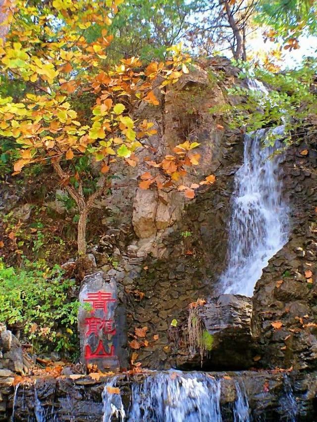 「红叶集」所到之处，无笔成诗，愿你的生活也能如红叶一般丰富