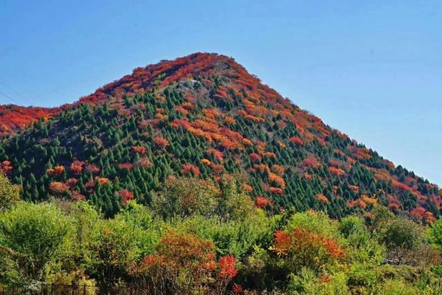 「红叶集」所到之处，无笔成诗，愿你的生活也能如红叶一般丰富