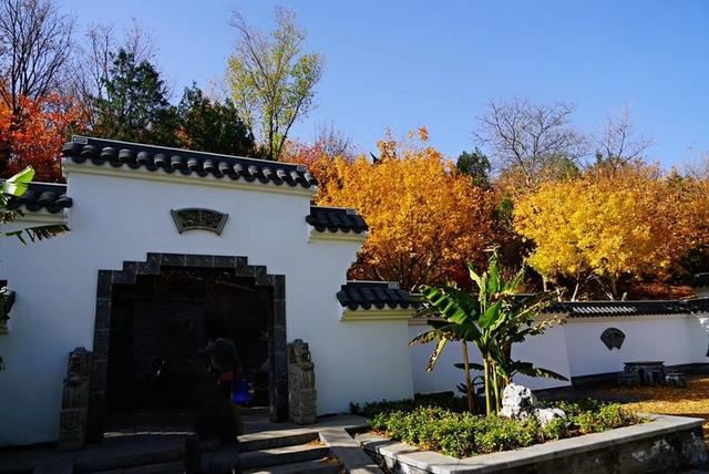 「红叶集」所到之处，无笔成诗，愿你的生活也能如红叶一般丰富