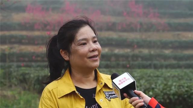 数千株桃花盛开，惊艳整个春天