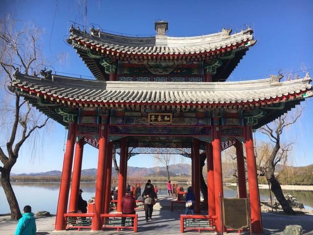 西堤垂柳吐新芽 颐和园里春意浓