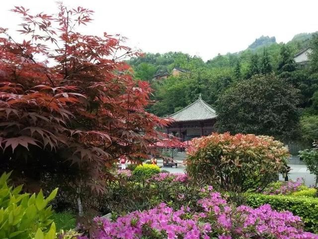 「红叶集」所到之处，无笔成诗，愿你的生活也能如红叶一般丰富