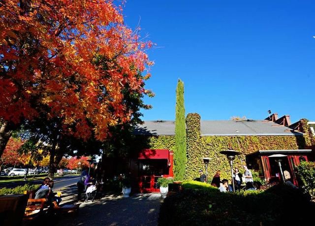 「红叶集」所到之处，无笔成诗，愿你的生活也能如红叶一般丰富