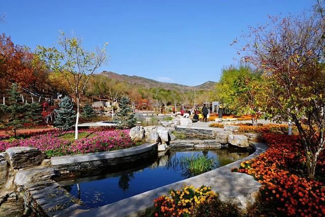 「红叶集」所到之处，无笔成诗，愿你的生活也能如红叶一般丰富