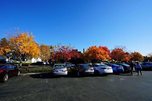 「红叶集」所到之处，无笔成诗，愿你的生活也能如红叶一般丰富