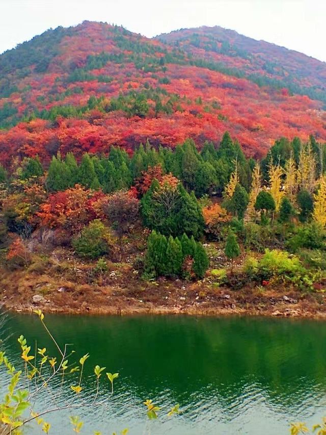 「红叶集」所到之处，无笔成诗，愿你的生活也能如红叶一般丰富