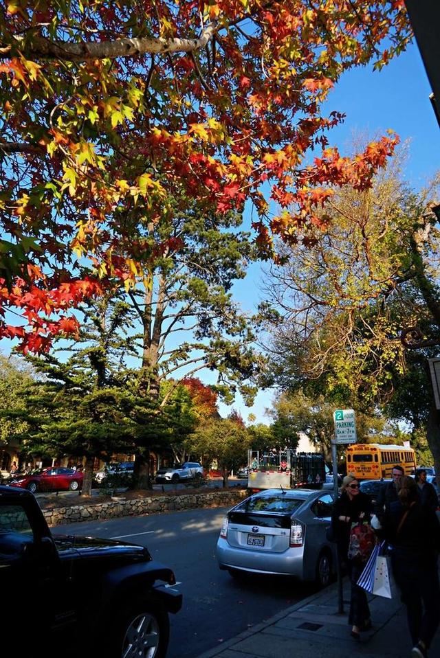 「红叶集」所到之处，无笔成诗，愿你的生活也能如红叶一般丰富