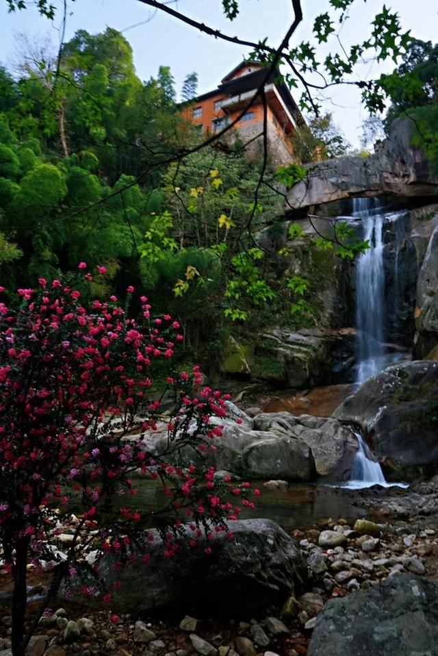 「红叶集」所到之处，无笔成诗，愿你的生活也能如红叶一般丰富