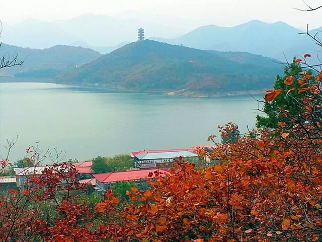 「红叶集」所到之处，无笔成诗，愿你的生活也能如红叶一般丰富