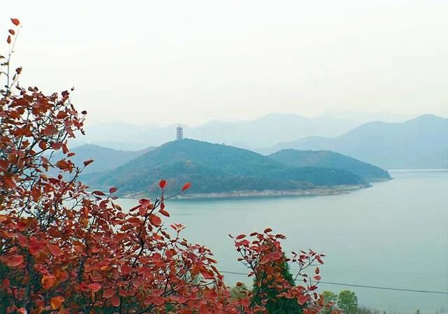 「红叶集」所到之处，无笔成诗，愿你的生活也能如红叶一般丰富