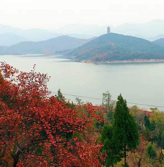 「红叶集」所到之处，无笔成诗，愿你的生活也能如红叶一般丰富