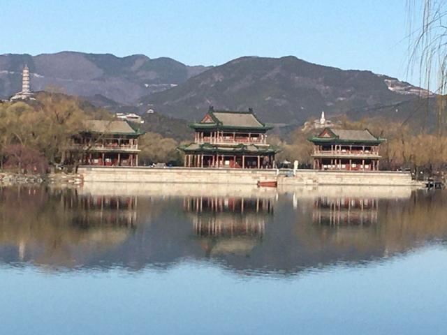 西堤垂柳吐新芽 颐和园里春意浓