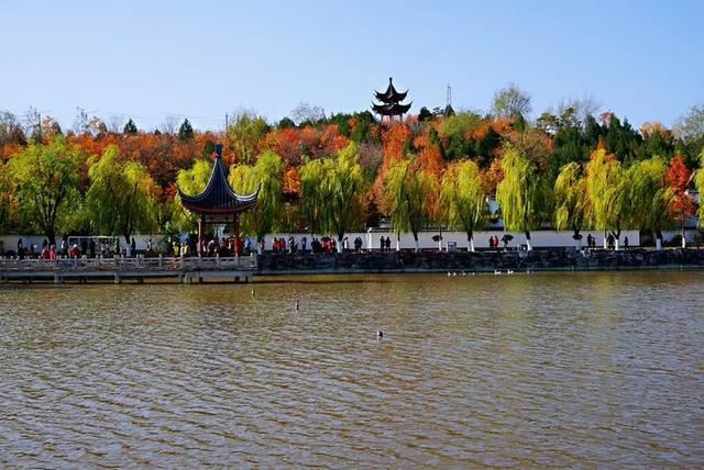 「红叶集」所到之处，无笔成诗，愿你的生活也能如红叶一般丰富