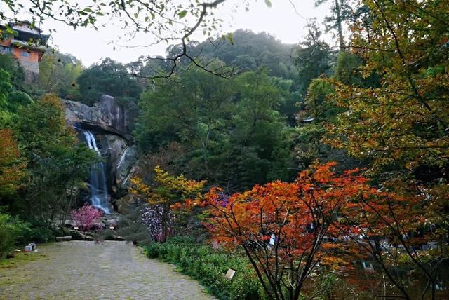 「红叶集」所到之处，无笔成诗，愿你的生活也能如红叶一般丰富