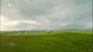 如果没有树木？