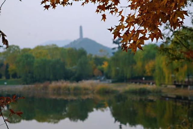 「红叶集」所到之处，无笔成诗，愿你的生活也能如红叶一般丰富