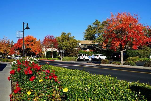 「红叶集」所到之处，无笔成诗，愿你的生活也能如红叶一般丰富