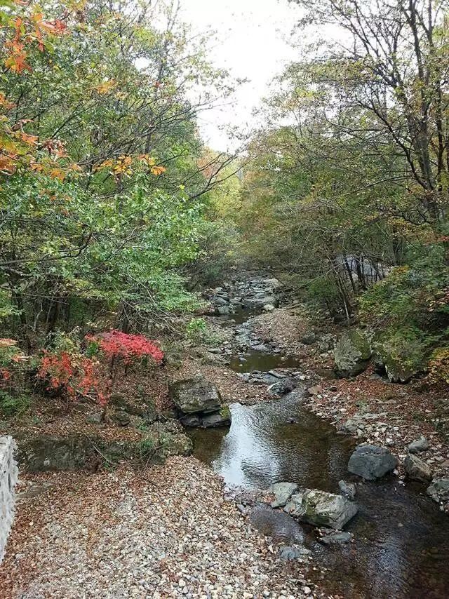 「红叶集」所到之处，无笔成诗，愿你的生活也能如红叶一般丰富