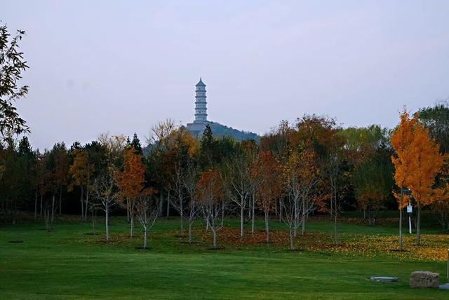 「红叶集」所到之处，无笔成诗，愿你的生活也能如红叶一般丰富