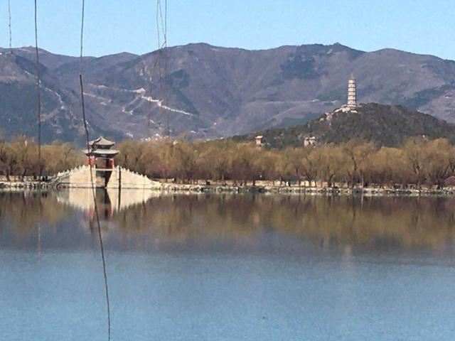 西堤垂柳吐新芽 颐和园里春意浓