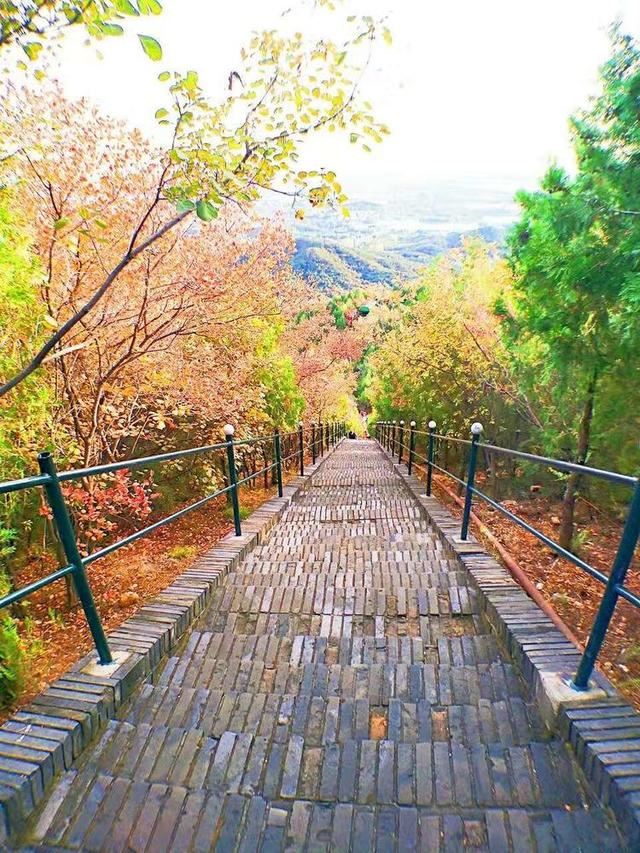 「红叶集」所到之处，无笔成诗，愿你的生活也能如红叶一般丰富