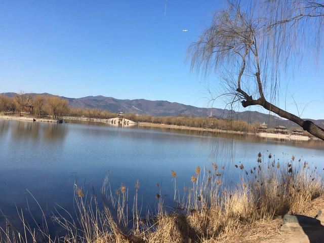 西堤垂柳吐新芽 颐和园里春意浓