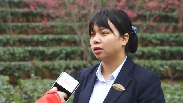 数千株桃花盛开，惊艳整个春天