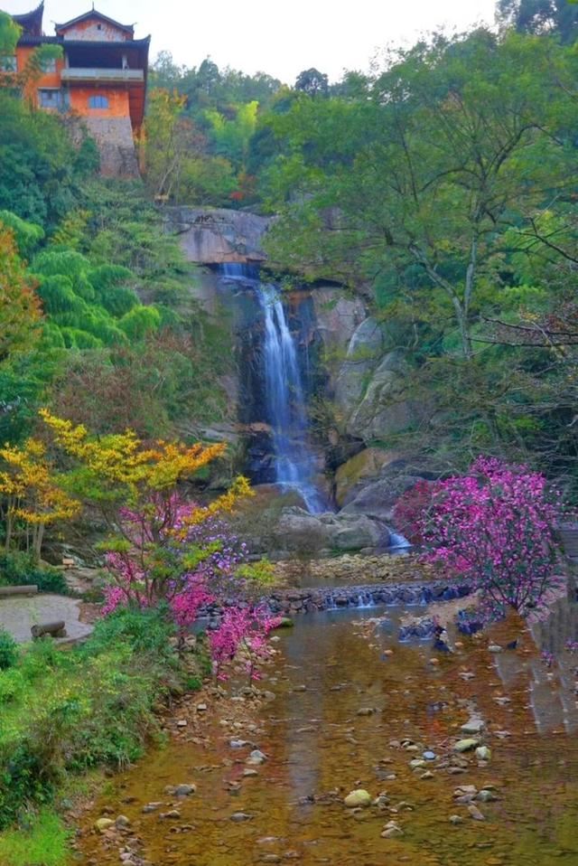 「红叶集」所到之处，无笔成诗，愿你的生活也能如红叶一般丰富