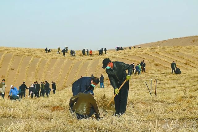 忙趁春光播新绿 ——凉州区开展春季植树造林活动侧记