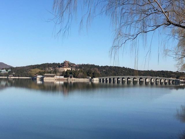 西堤垂柳吐新芽 颐和园里春意浓