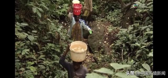 如果没有树木？